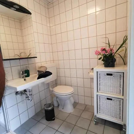 14 Bienenstock - Hof Wiesengrund Parchtitz