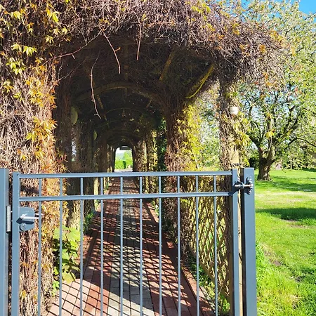 14 Bienenstock - Hof Wiesengrund Parchtitz