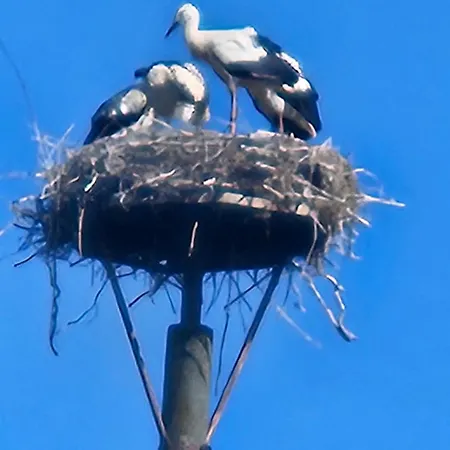 14 Bienenstock - Hof Wiesengrund