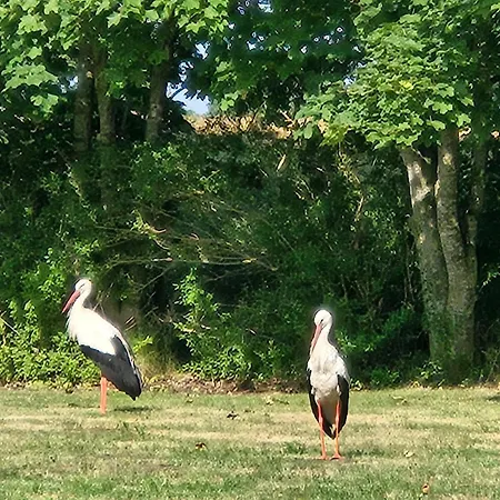14 Bienenstock - Hof Wiesengrund Appartement Parchtitz