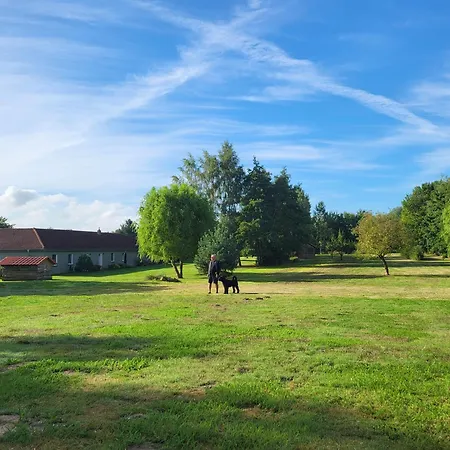 Appartement 14 Bienenstock - Hof Wiesengrund Parchtitz