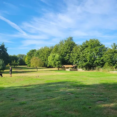 14 Bienenstock - Hof Wiesengrund Appartement *